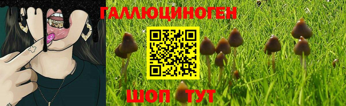 Псилоцибиновые грибы прущие грибы Новокуйбышевск