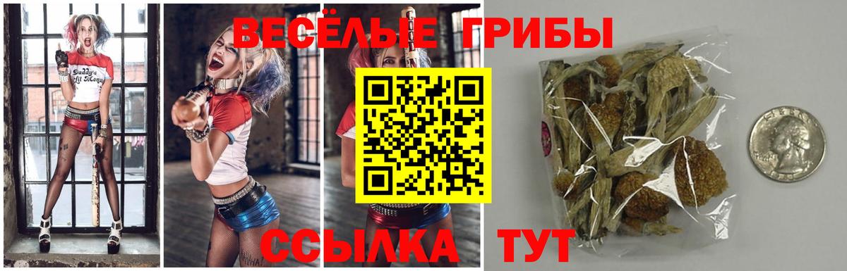 Новокуйбышевск  Псилоцибиновые грибы Psilocybe  Вход с VPN 